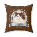 Custom Cat Pillow – Best Cat