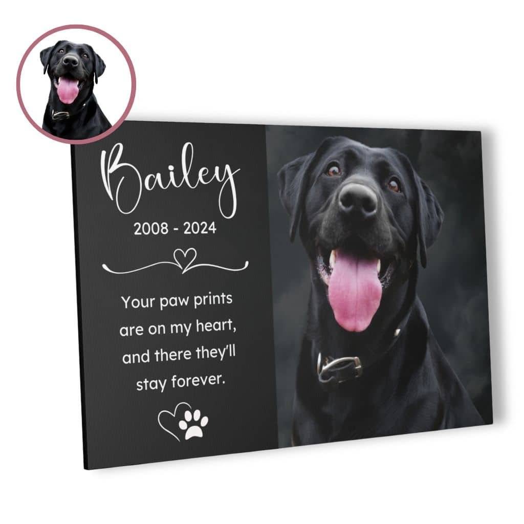 Custom-Pet-Memorial-Canvas-Print-With-Pet-Portrait Custom pet memorial canvas print featuring a personalized pet portrait with the pet's name and a heartfelt tribute. A meaningful remembrance gift to honor a beloved pet.