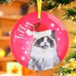 Pink custom cat Christmas ornament featuring a cat wearing a Santa hat